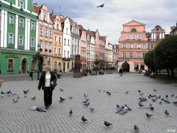 zdjecie Bolesławiec