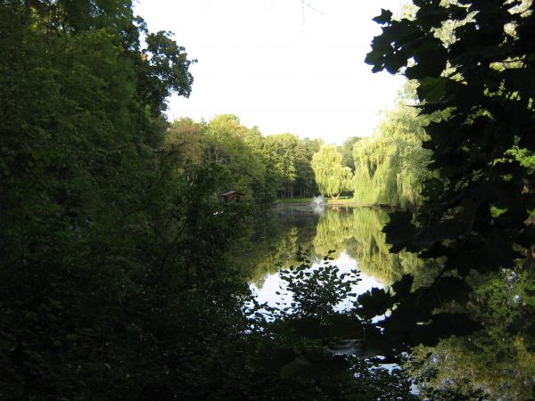 zdjecie Ciechanowiec