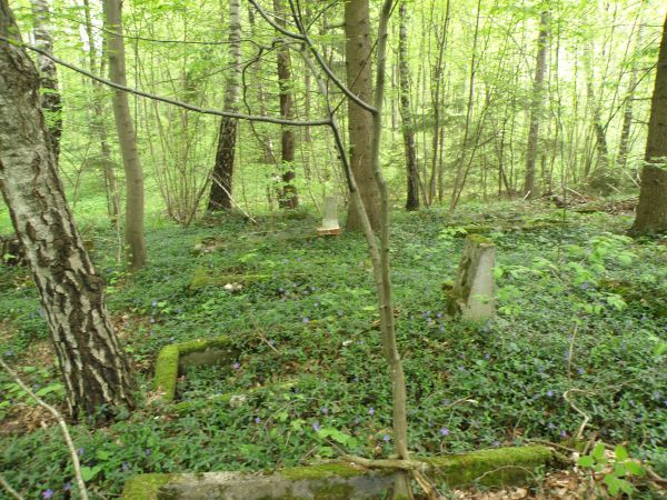 Cmentarz niemiecki w lesie. Kopijki.