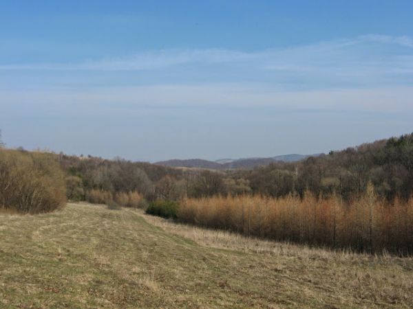 po prawej zalesiona góra Tusta - 454m npm, opuściliśmy zarośniętą / ogarniętą lasem część wsi i wejdziemy na dość czytelną, starą, "mocną" drogę - na lewo do m.