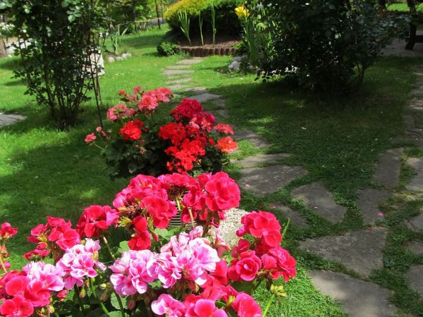 zdjecie Pietrzykowice