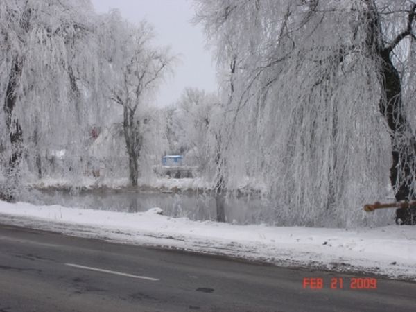 Jeziorko przy ul. Lwowskiej