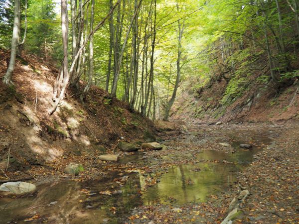 Szlak Siedmiu Strumieni - warunki pogodowe sprawiły, że niemal "suchą nogą" udało się go przemierzyć, jest tam bajecznie - jak na załączonym obrazku...