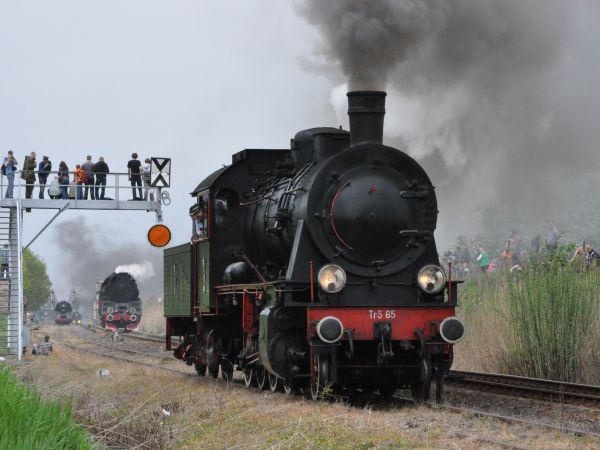 Wolsztyn Parada Parowozów