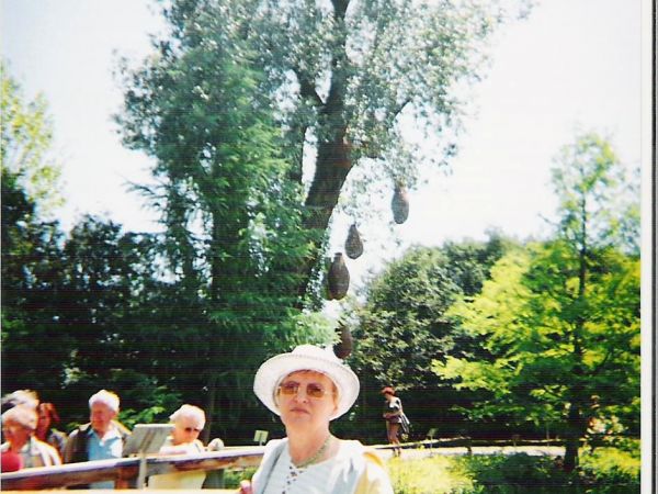 Spacerując pomostem na stawie średnim i w kręgu betonowym w pobliżu wrzosowiska zobaczymy wiele gatunków roślin wodnych i bagiennych. Hydrofity - rośliny wodne.