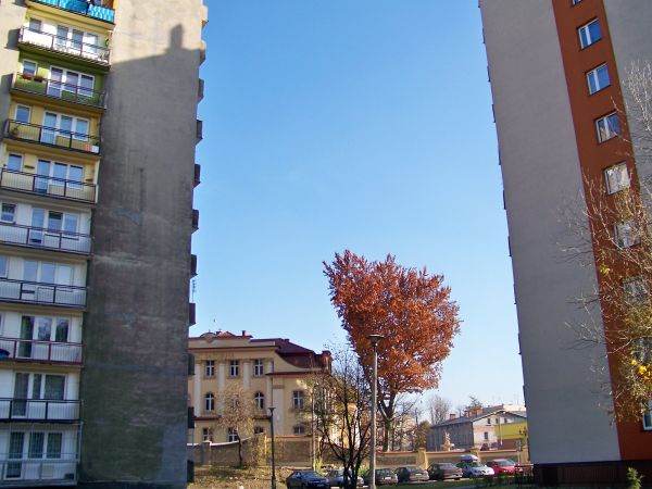 Pałac Saturna inaczej.
