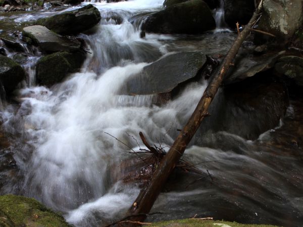 zdjecie Kołaki-Strumienie
