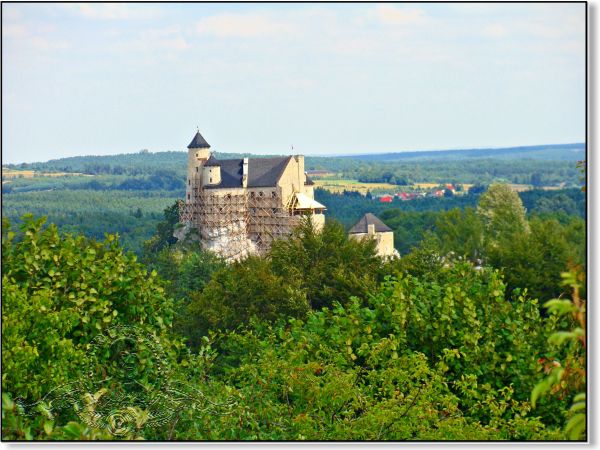 Widok na Zamek Królewski z "grzędy mirowskiej"