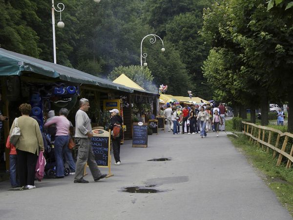 Mała gastronomia-Krynica Zdrój