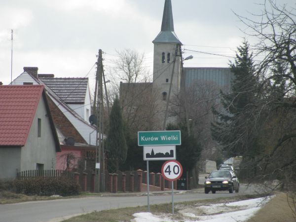 Zdjęcia Kurów Wielki