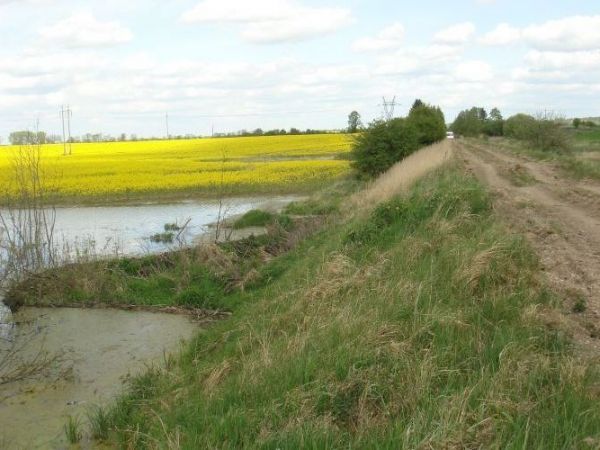 Tama na niewielkim rozlewisku w Smokowie stworzona przez ... bobry. Arcyciekawa technologia architektoniczna tych madrych zwierzat