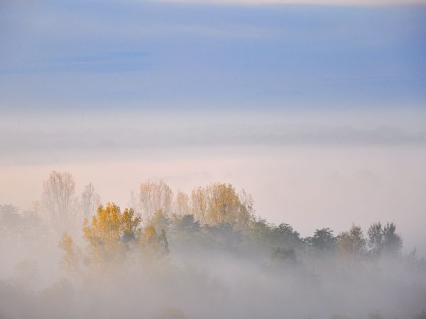 zdjecie Wodzisław Śląski
