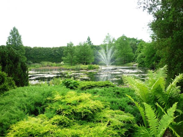 Arboretum i Zakład Fizjografii w Bolestraszycach . Piękny staw.