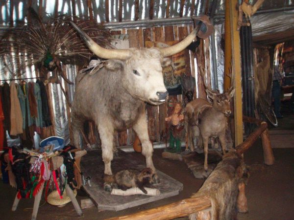 Zieleniewo - wrzesień 2010