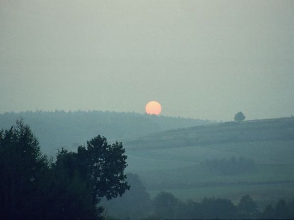 zdjecie Węgierka