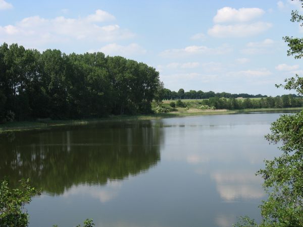 Łopienno jezioro Północne