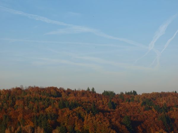 Okolice kwatery - Dworu Wysockich -  20.10.2012r.