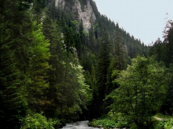 Dolina Kościeliska, Kościelisko