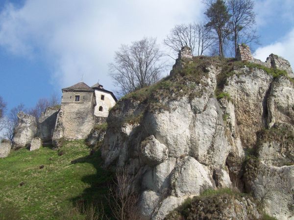 Ruiny zamku Kazimierza Wielkiego z 2. połowy XIV wieku