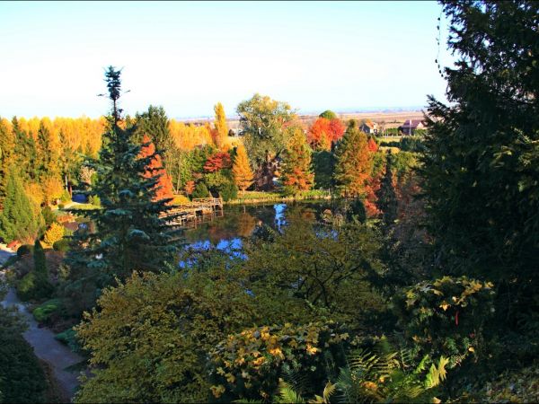 Arboretum w Bolestraszycach - jesienią.