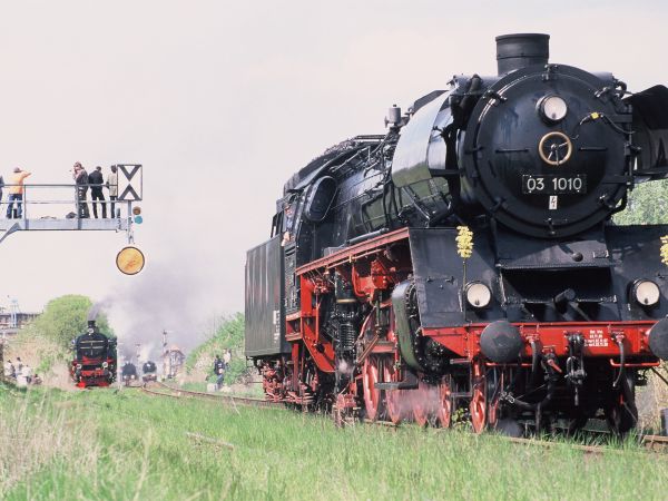 Wolsztyn, Parowozy podczas  Parady Parowozów odbywającej się corocznie w maju.