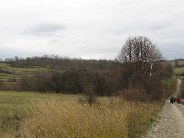 w dolinie - zakrzaczonej - potok Modrza płynie - inaczej "z polska": Modry, bo łupki w korycie, w słońcu dają poblask granatowo-niebieski, czyli modry, można by