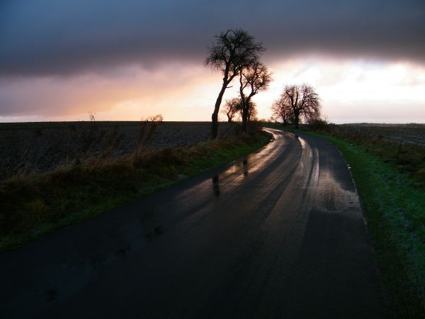 w drodze od Żarek Średnich do Dłużyna Dolna ROK 2016