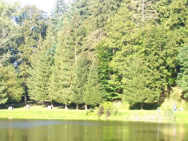 Akweny basenowe 3 w parku w Połczynie Zdroju