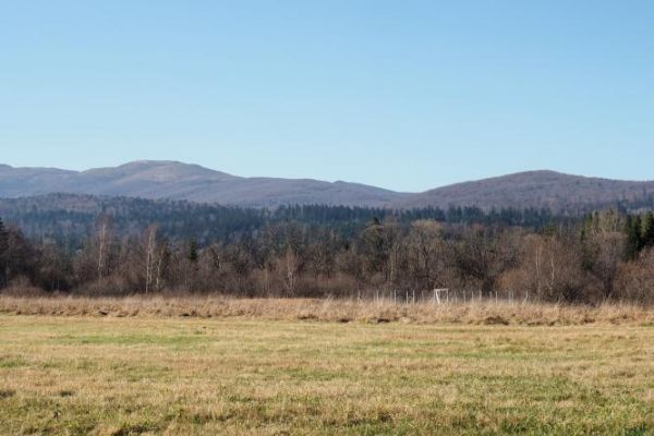 z pomostów na torfowisku - pasmo Bieszczad widziane, tam już niedaleko  granice Bieszczadzkiego Parku Narodowego.
