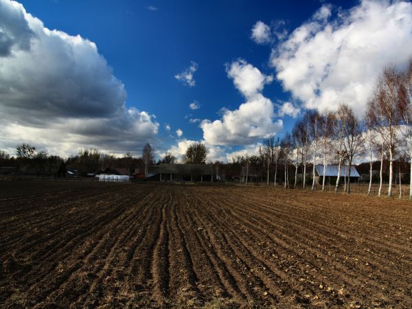 zdjecie Tyniewicze Duże