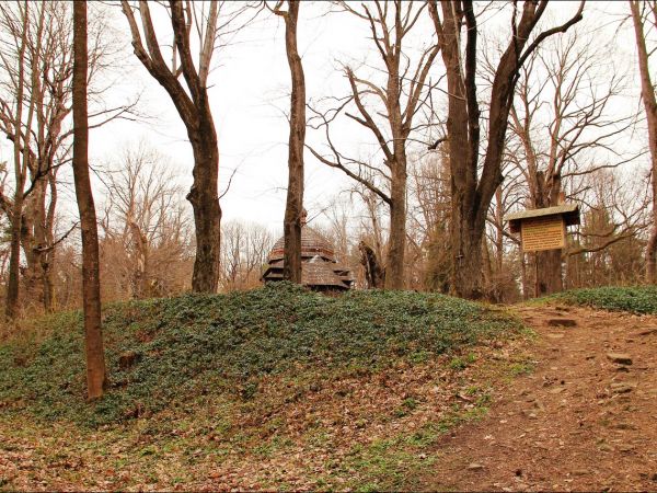 Drewniana cerkiew p.w. Wniebowstąpienia Pańskiego z 1659 r., usytuowana na wzgórzu Dębnik - Dubnyk (344 m n.p.m.), wznoszącym się ponad doliną Sanu.