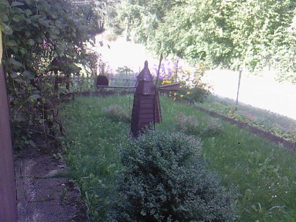 PŁACHTY MISTRZOWIE PRZYRODY