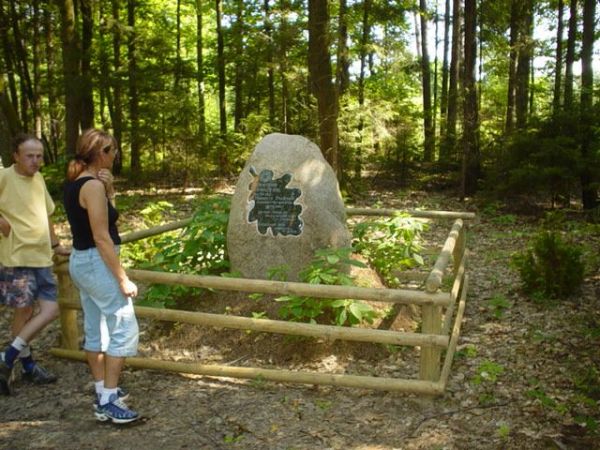 Pomnik dla mrowek w lesie