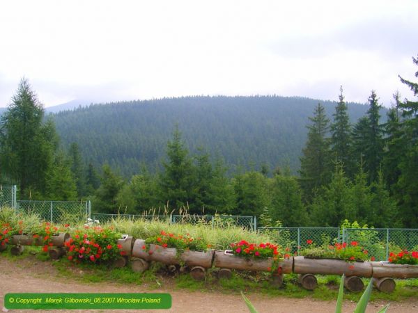 zdjecie Góra Igliczna