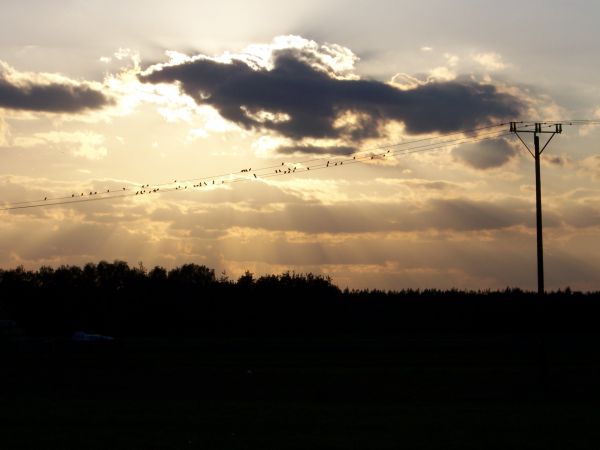 zdjecie Ługi-Radły