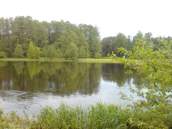 Zdjęcia Wólka-Wojciechówek