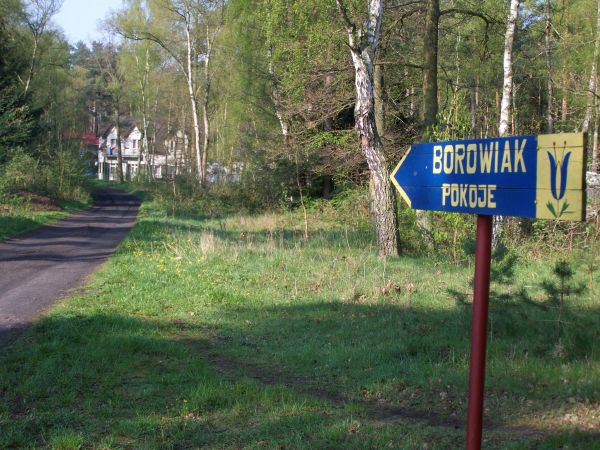 "BOROWIAK " TO DOBRY ADRES
