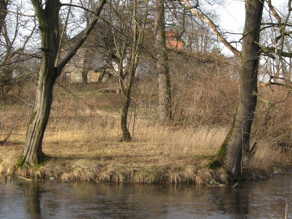 do dworu prowadziła aleja jesionowa, współcześnie z dworem założony był park o charakterze krajobrazowym: dęby, kasztany oraz staw. Stawów było trzy, z których