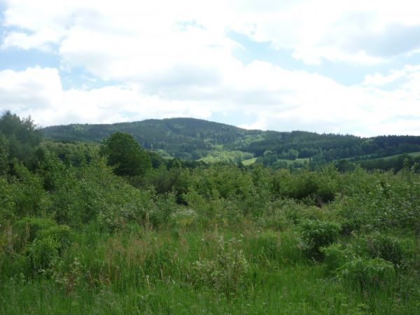 zdjecie Jarnołtówek