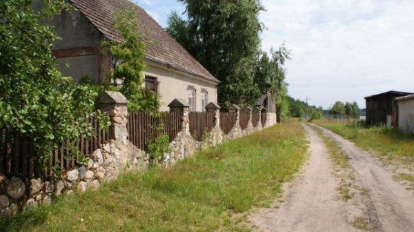 Zdjęcia Psie Głowy