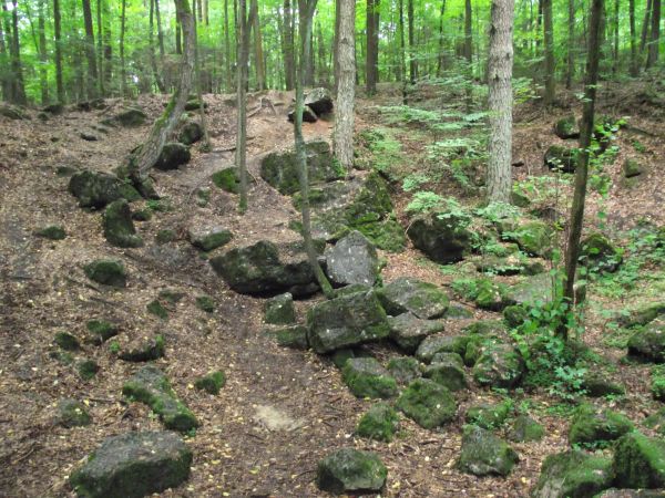 w drodze z parkingu - po lewej - do ekspozycji Jaskinia "Raj".