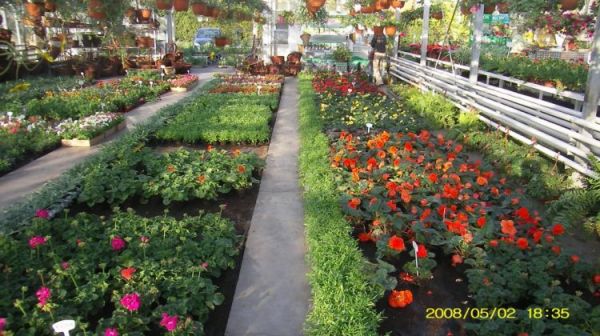 Leszno - centrum ogrodnicze