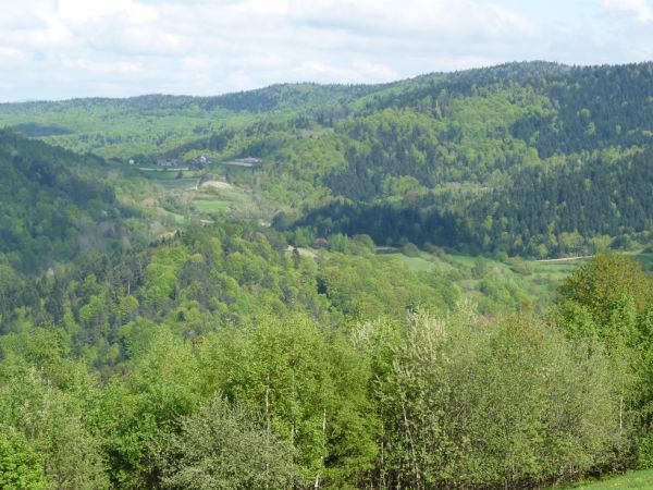 Górna część Harbutowic.Na pierwszym planie Chodnikowska Góra.W głębi stoki Babicy z rolą Jaworze (U Dutka)