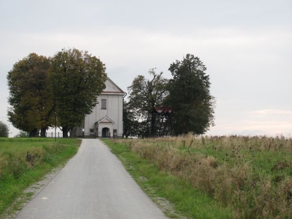 Kościół Marii Magdaleny