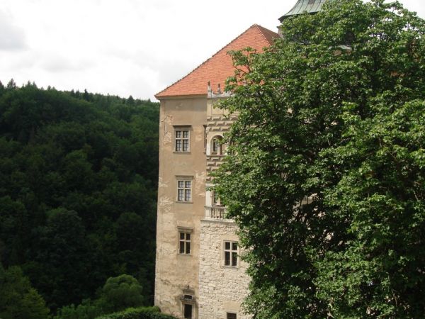 http://www.pieskowaskala.pl/muzeum.htm