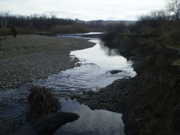 Rzeka Kamienica w N.Sączu