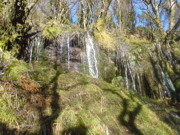 zdjecie Strzebielino