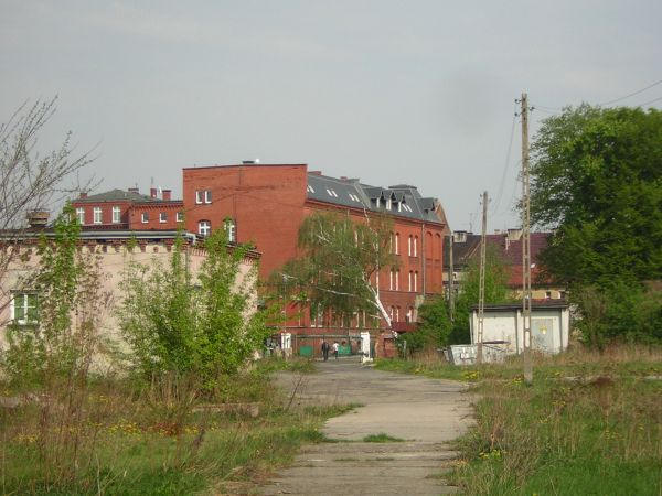 zdjecie Sulechów