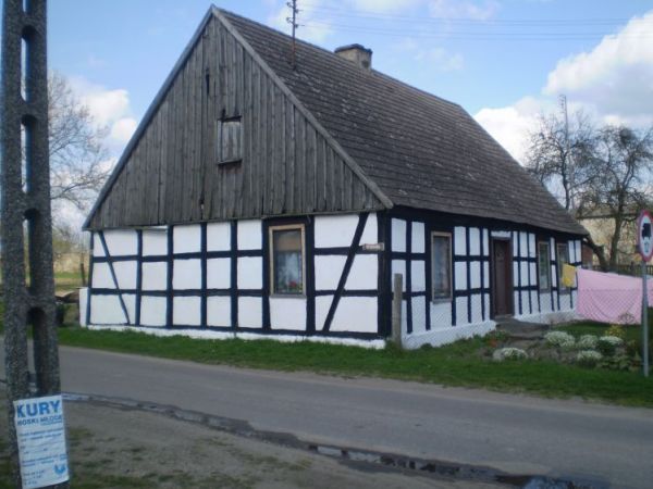 Zdjęcia Żółtnica