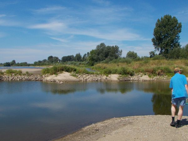 "Żegnaj lato na rok, stoi jesień za mgłą"